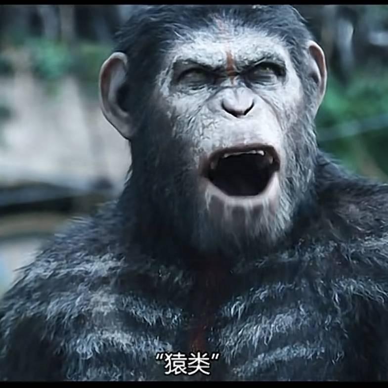 我是大明猩