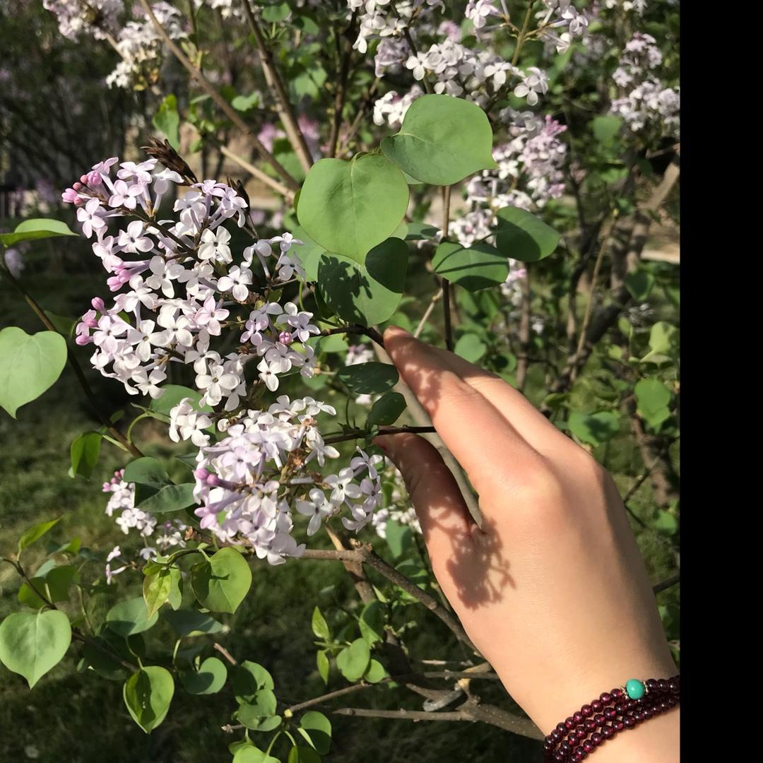 棉花糖宝宝