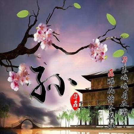 花花影视