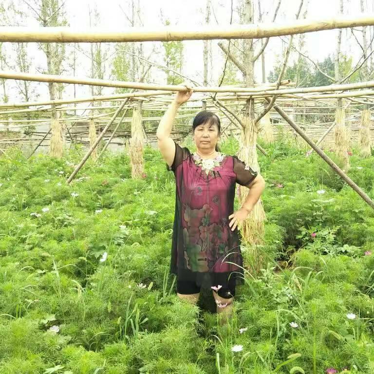 成欣洋