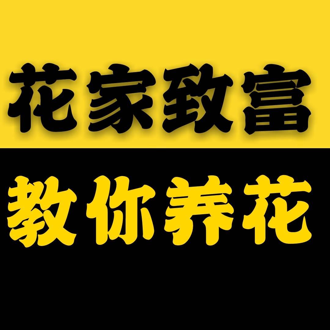 花家致富