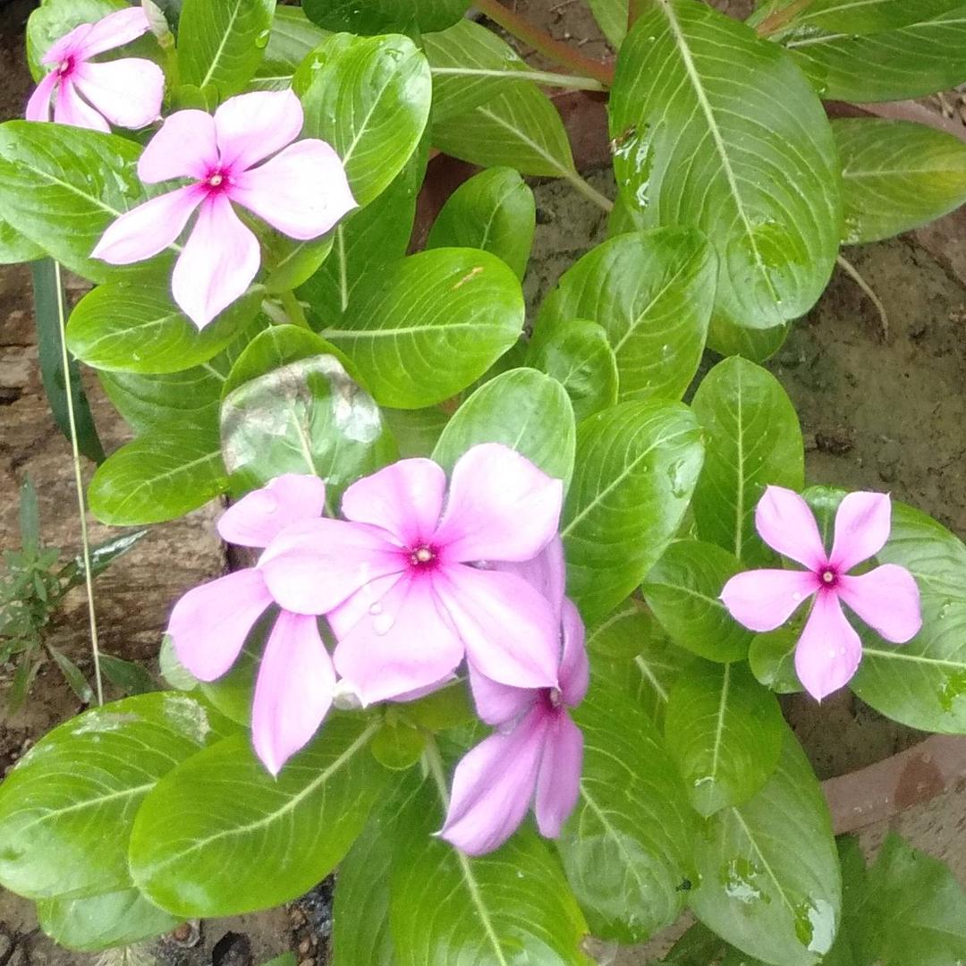 ＠_随心漫步＠