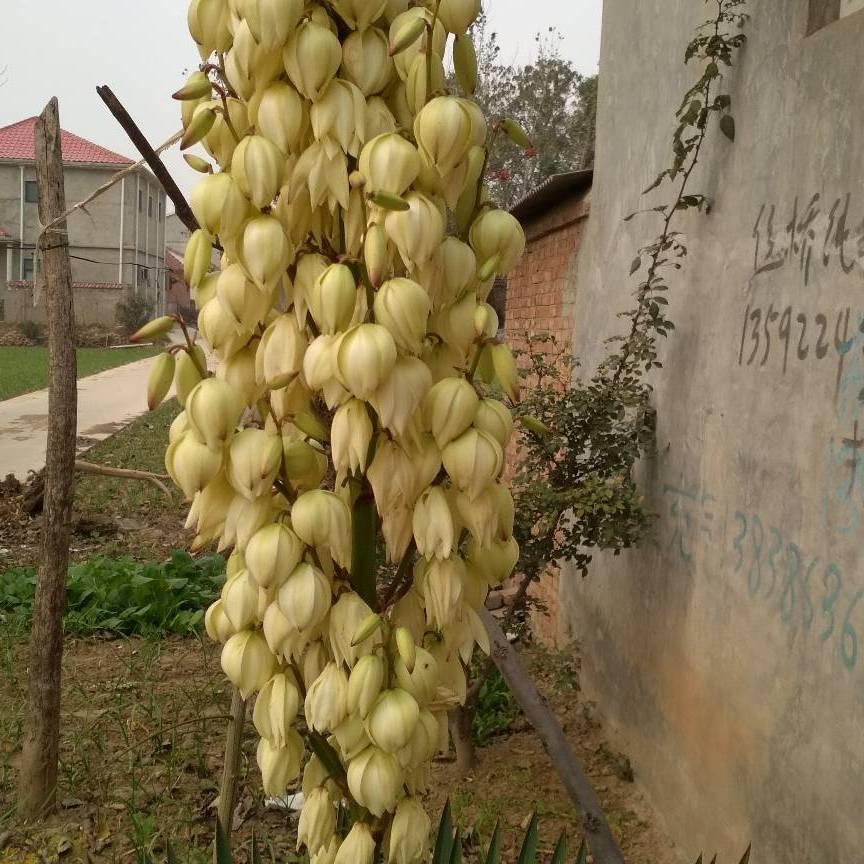 今生有缘千里来相会