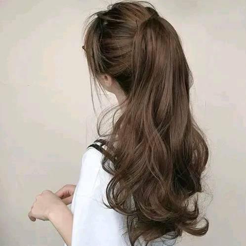 燕子