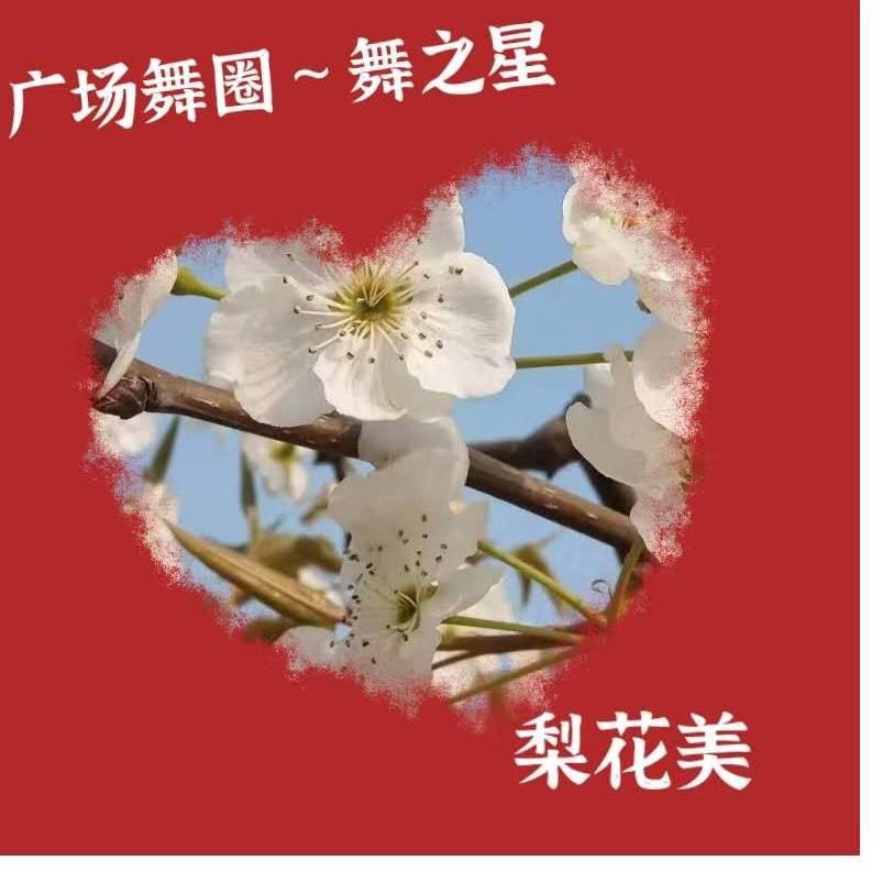梨花美《广场舞》