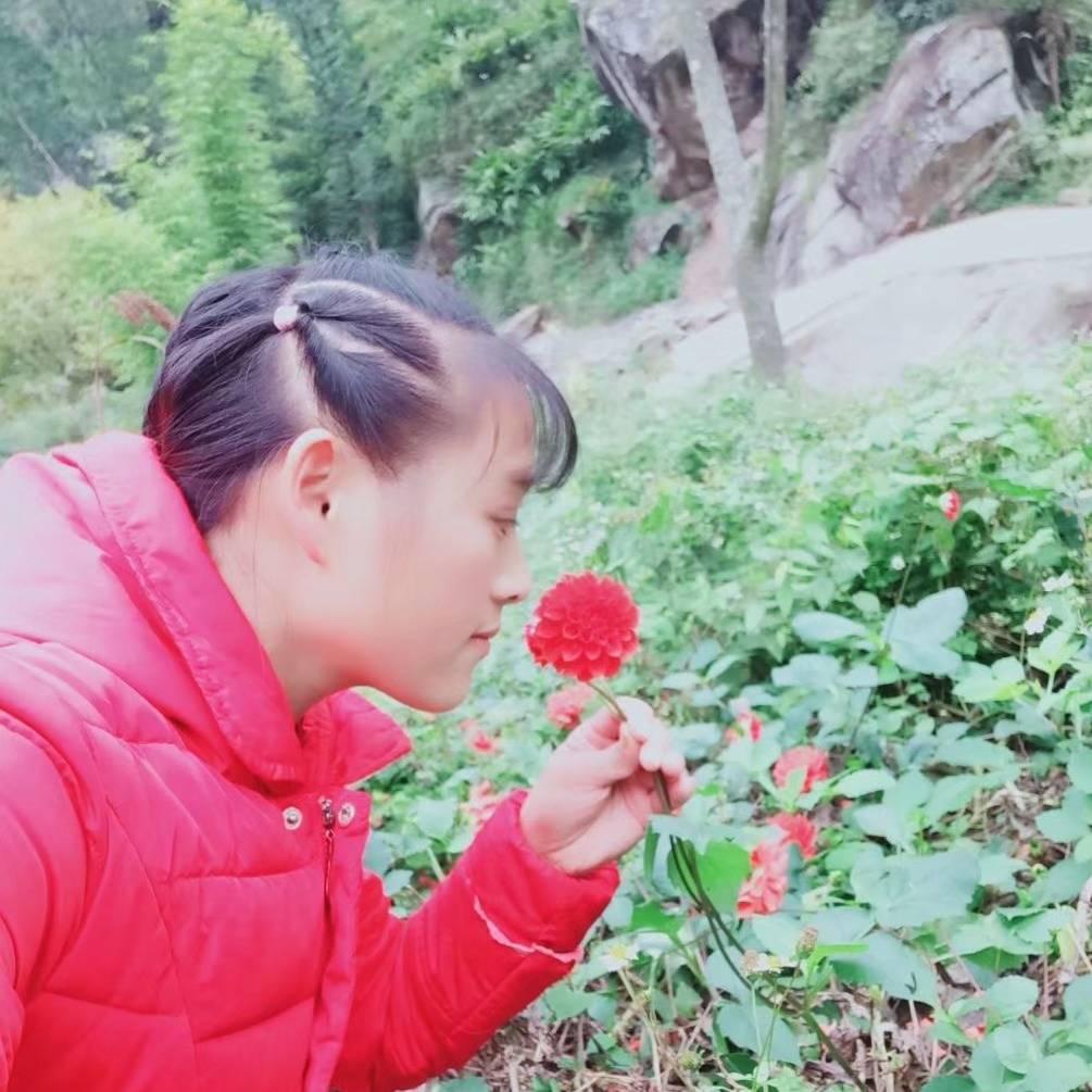 琴姐