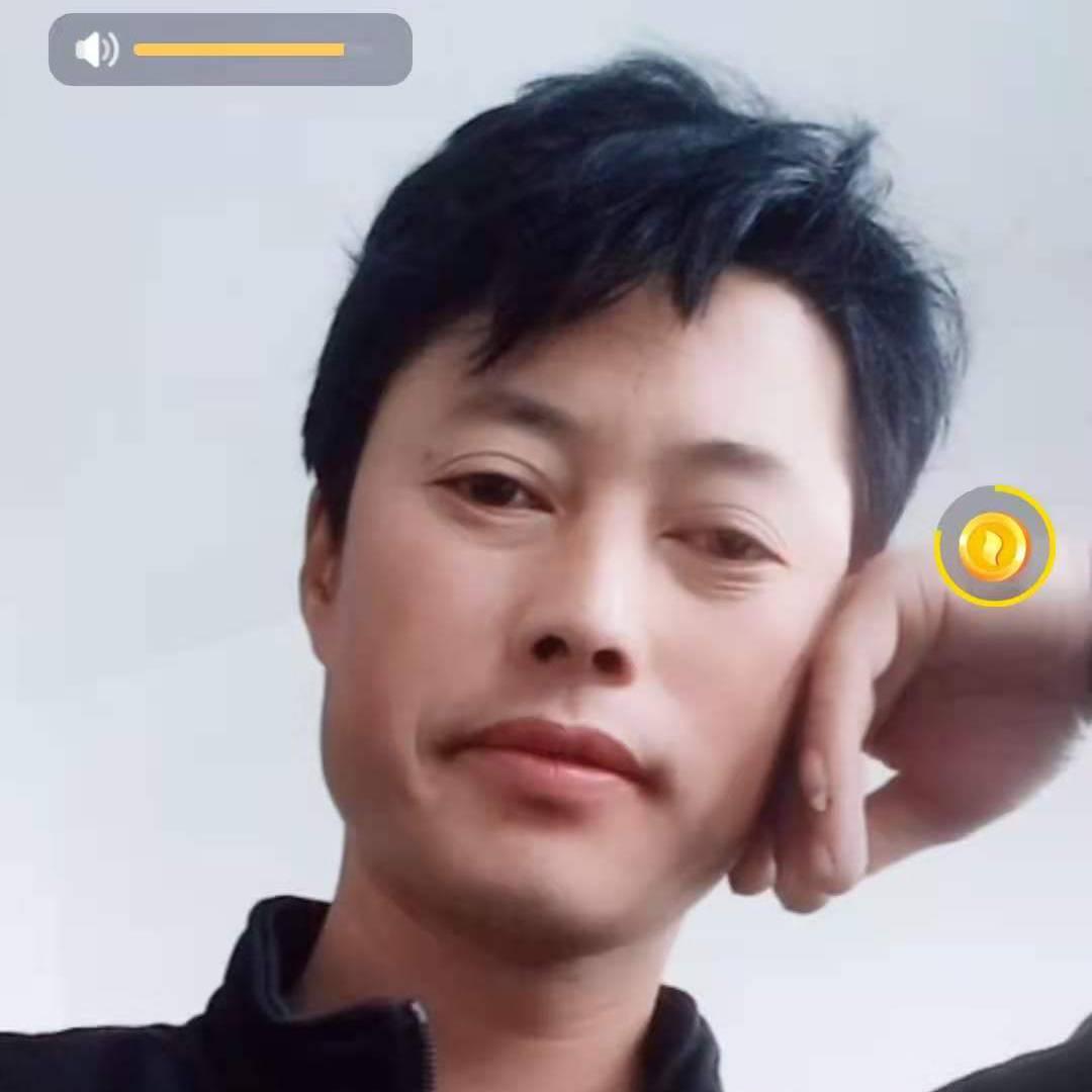 飘然孤鹰～极地苍狼