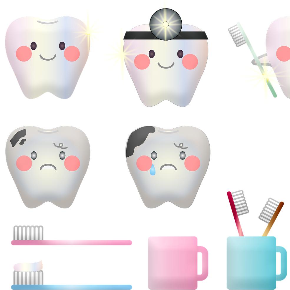 源化通好物分享