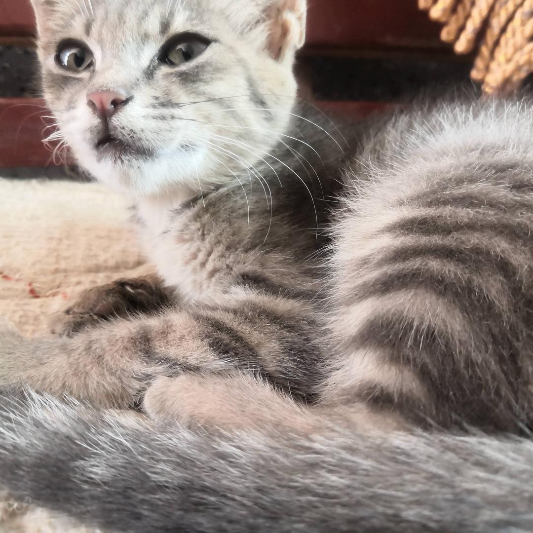 咱农村的人 有啥不一