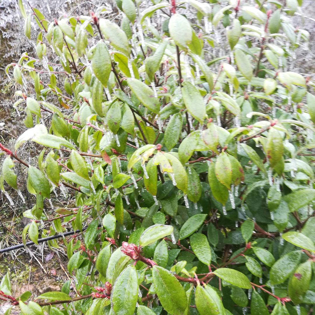 风雨无阻，一笑而过