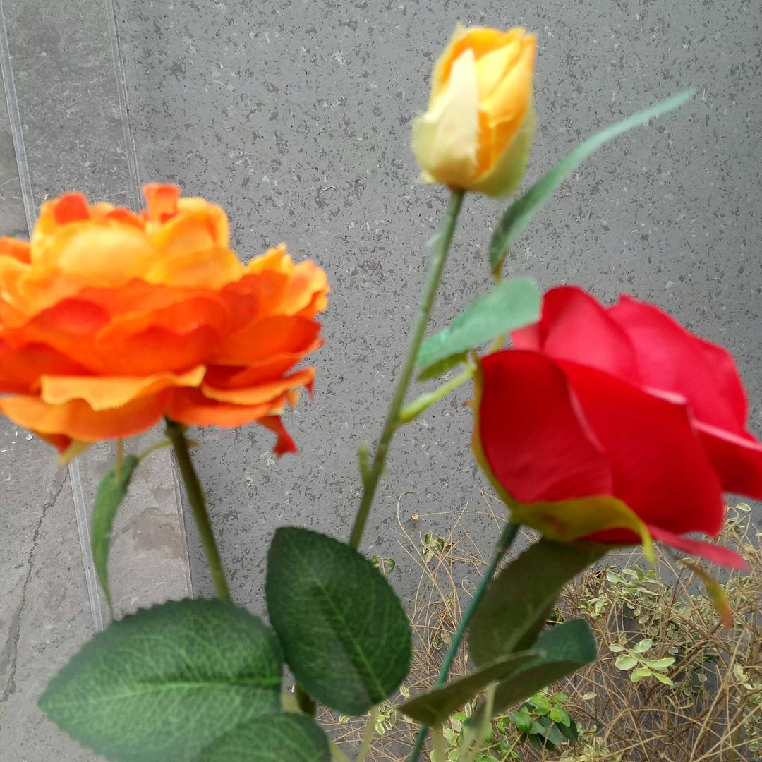 🌻心想事成🌺🌹~