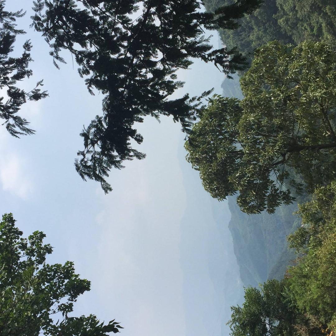 守侯追求（南哥）