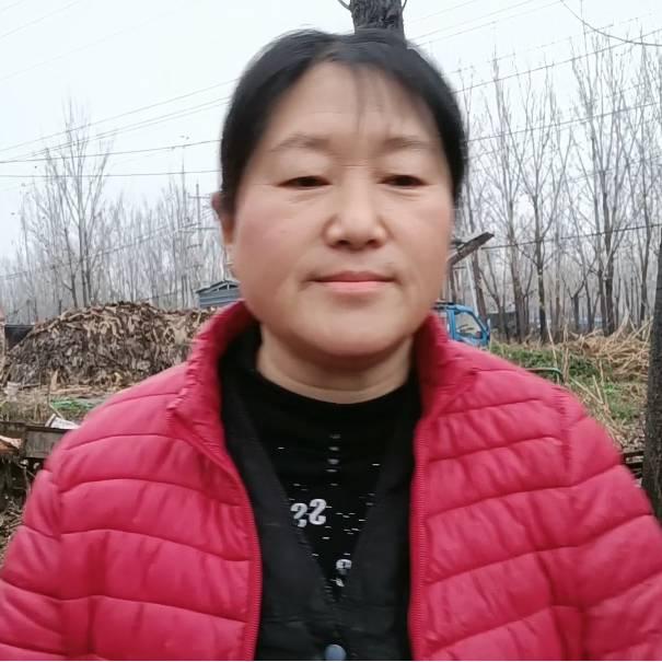 李姐爱养猫