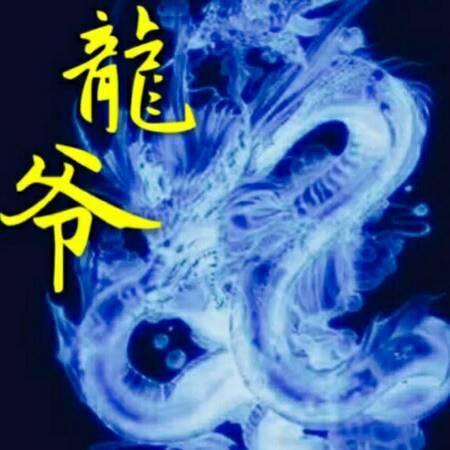 💨龙霸☁天下💨