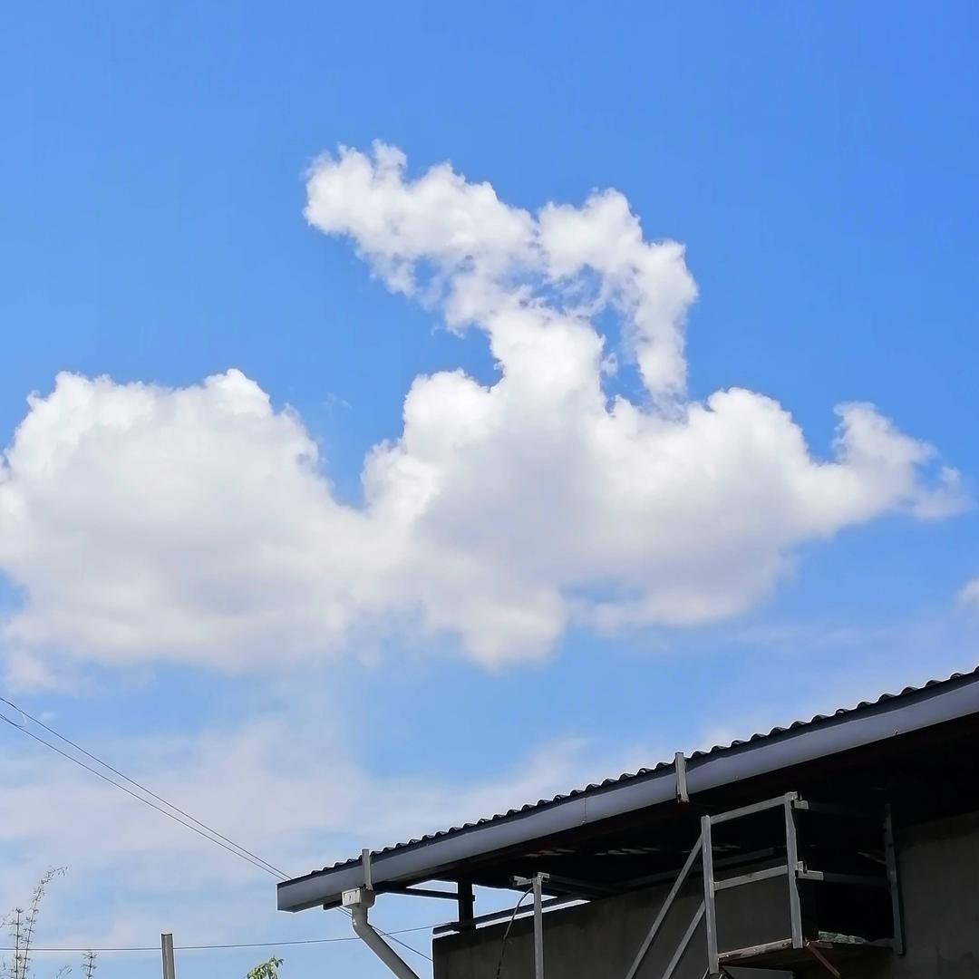 （落叶🍂知秋）