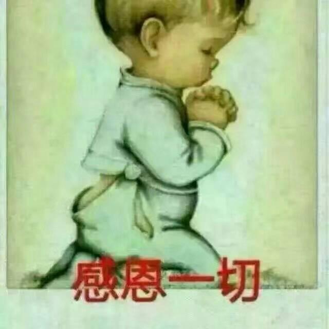 用户11612138