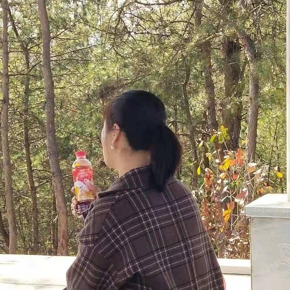下辈子不嫁了