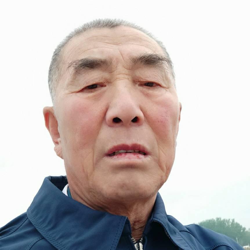 诚心飞翔