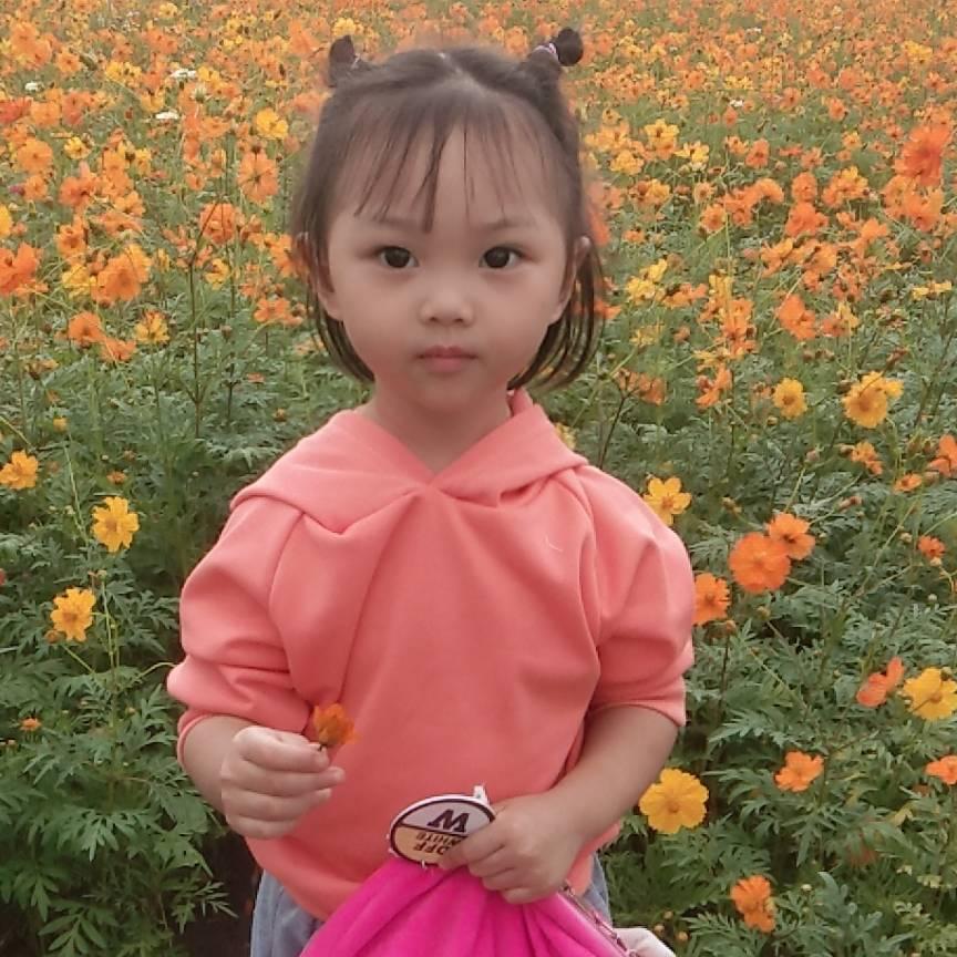 尖下巴的小家巧
