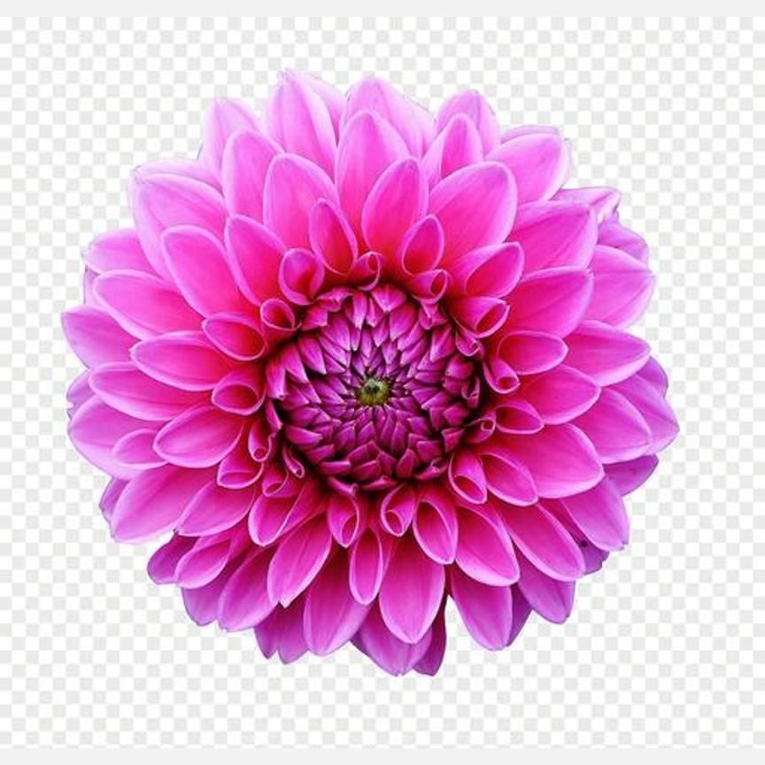 俏夕阳