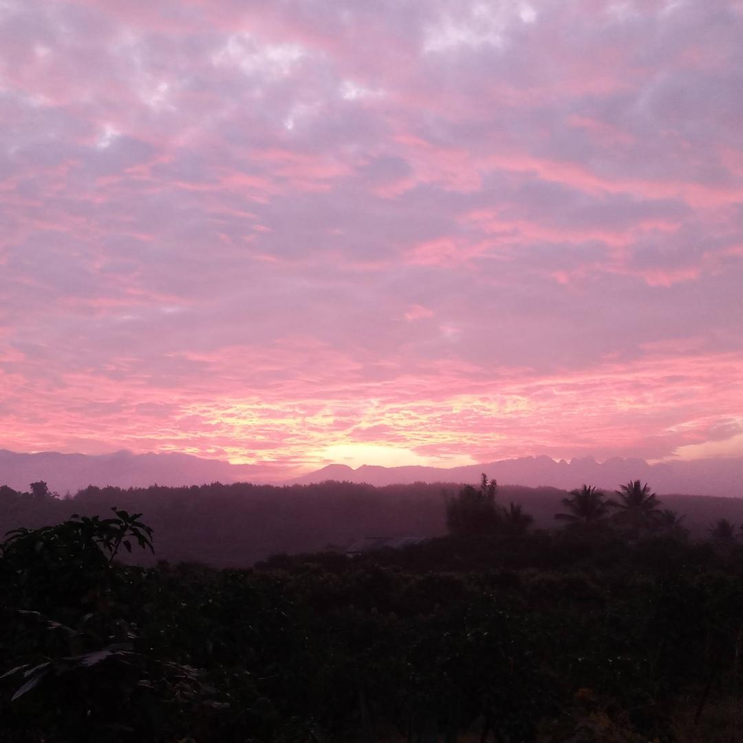 春暖花开富贵来