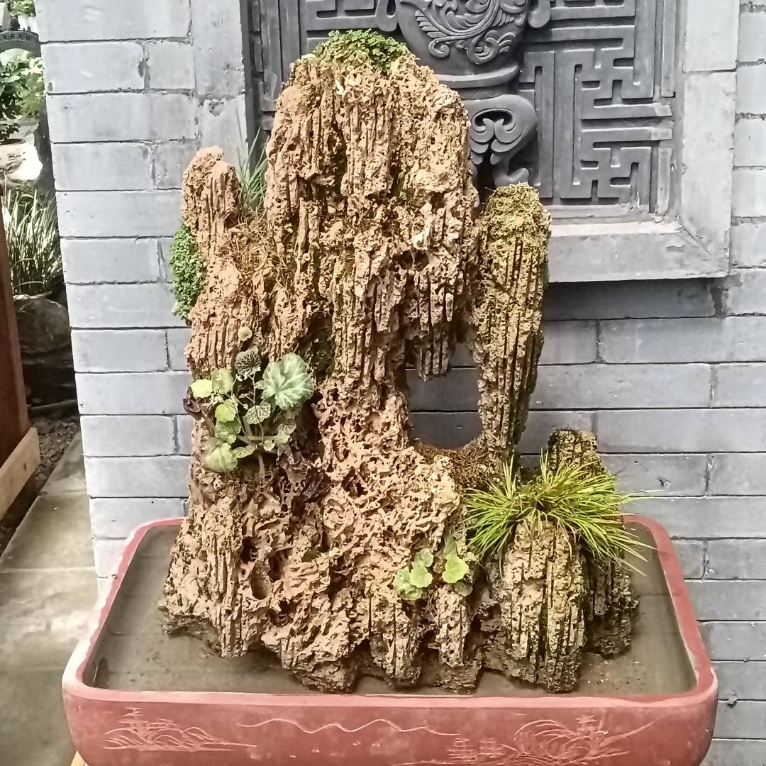 红军平安喜乐