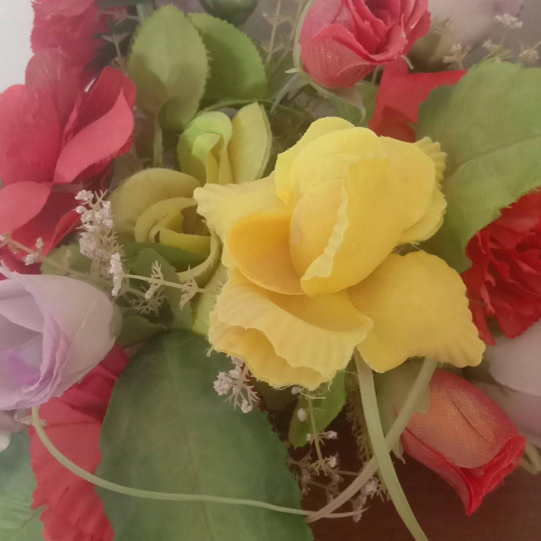 飞燕，随心所遇