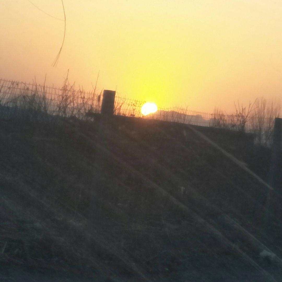 A阳光☀