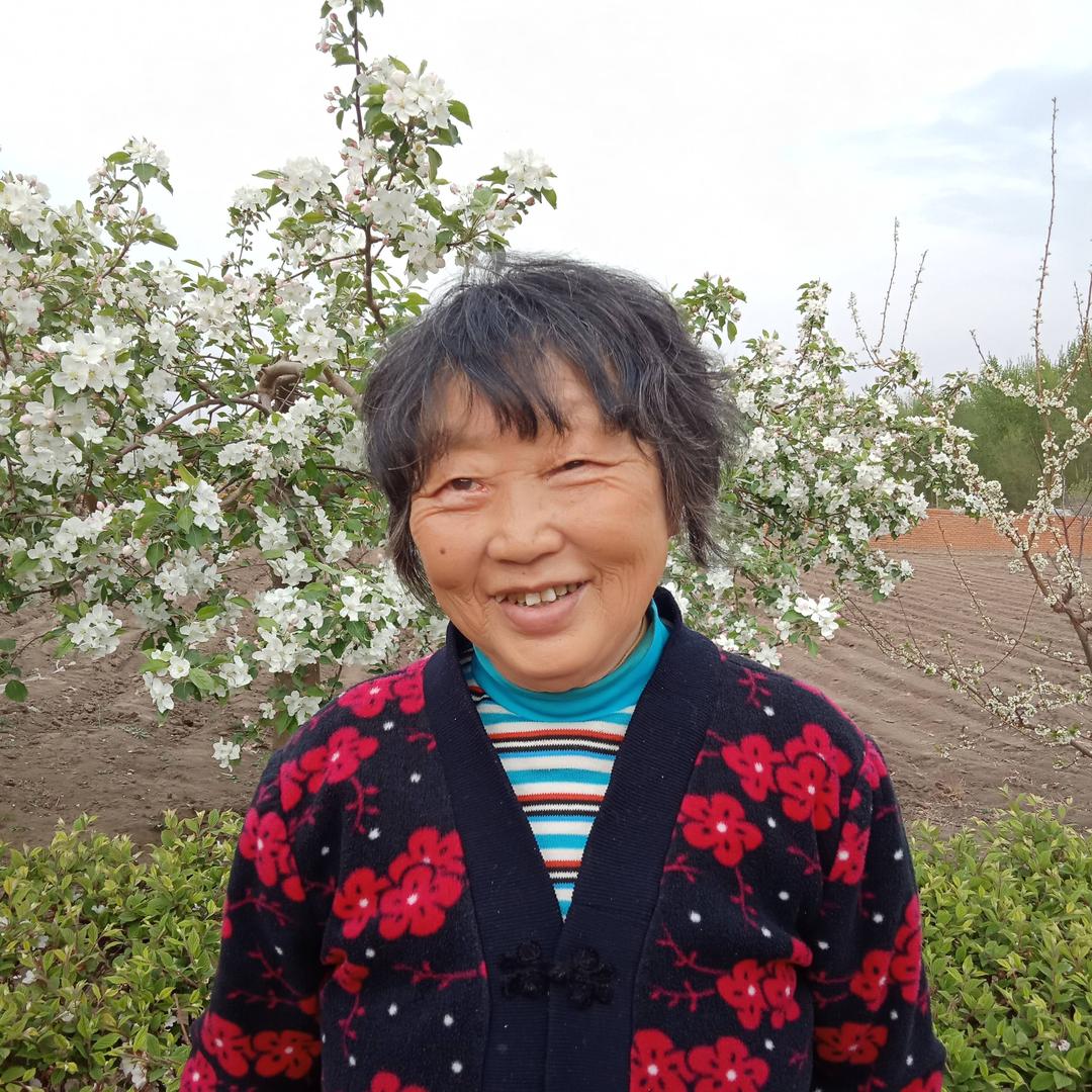 傻妈a