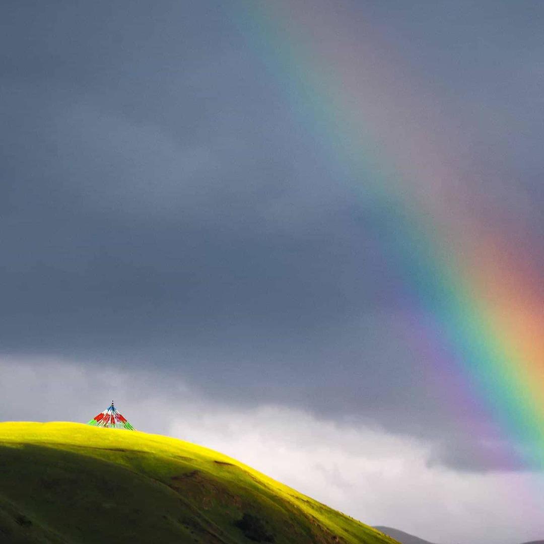 🌈哈姆雷特🌏
