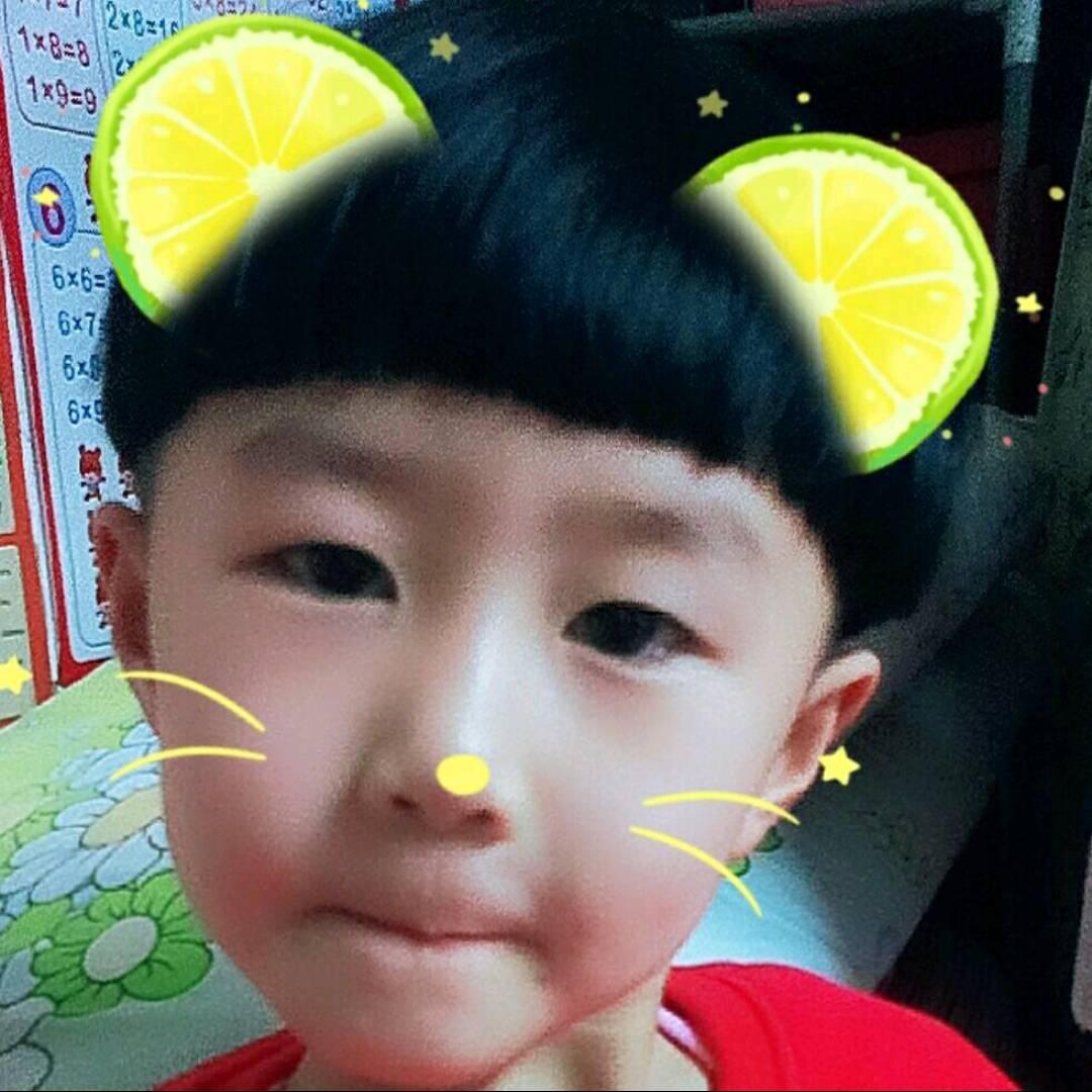雪竹，，