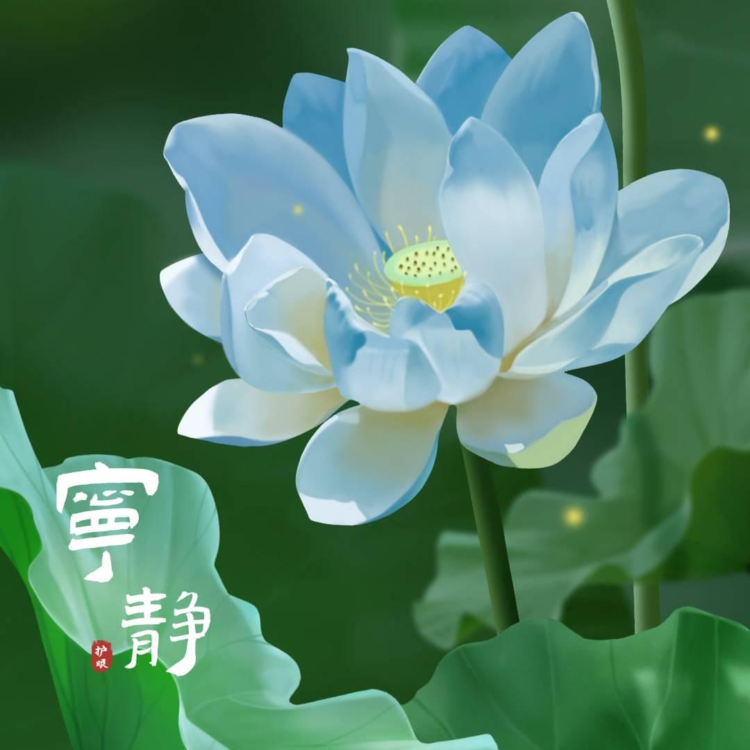 用户39390247