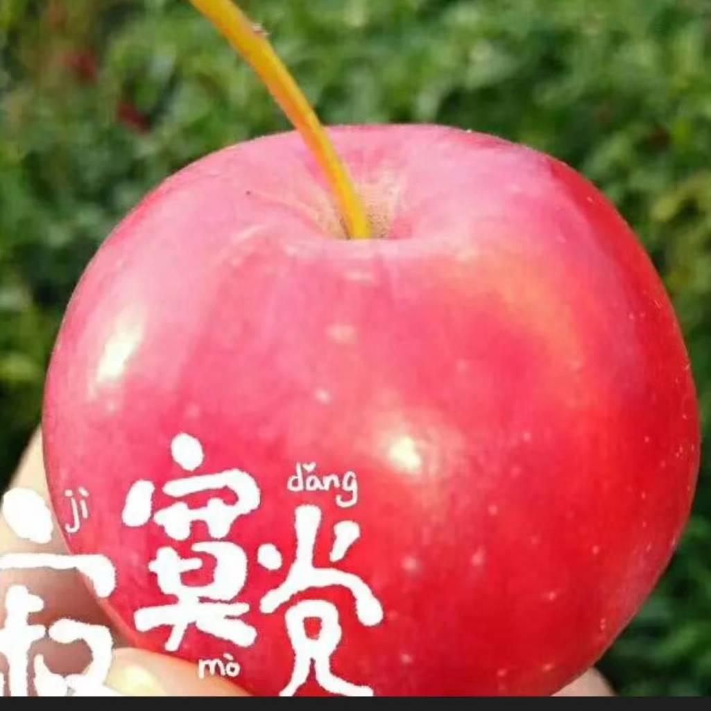 小可爱.@@@