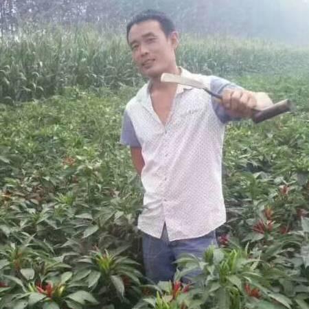 🐲不拼怎么会赢꧂