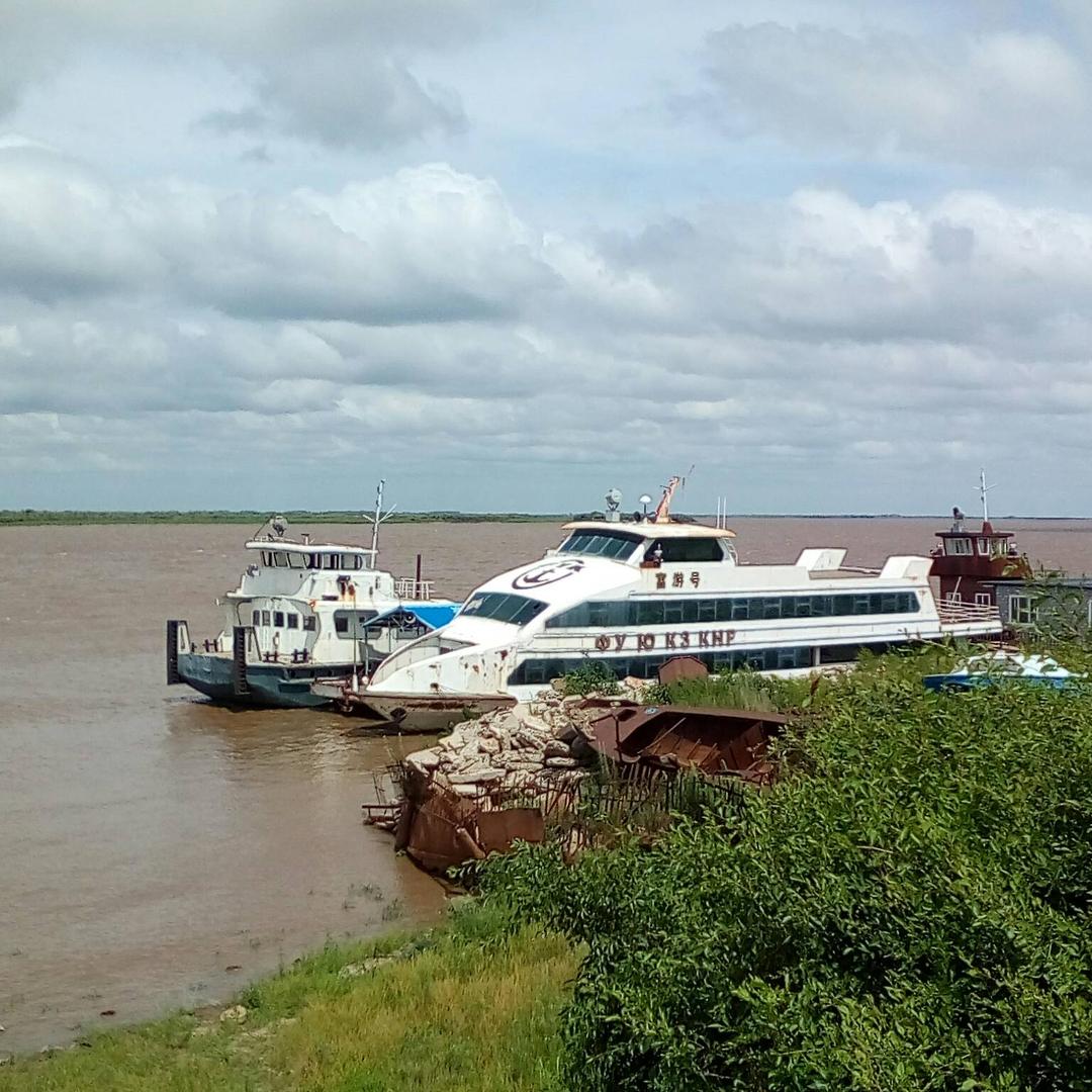 。。龙行天下。