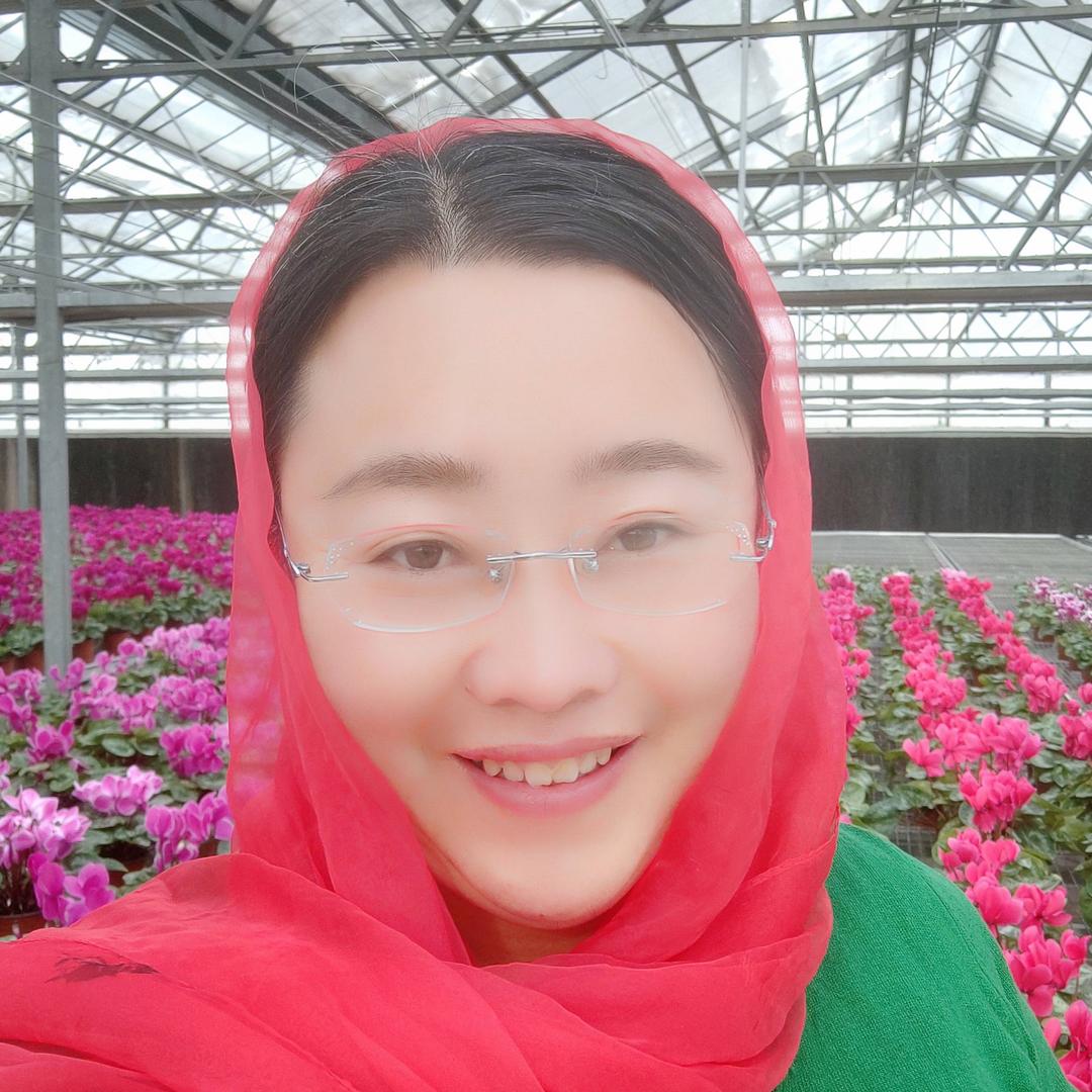 振达农机创业的女人