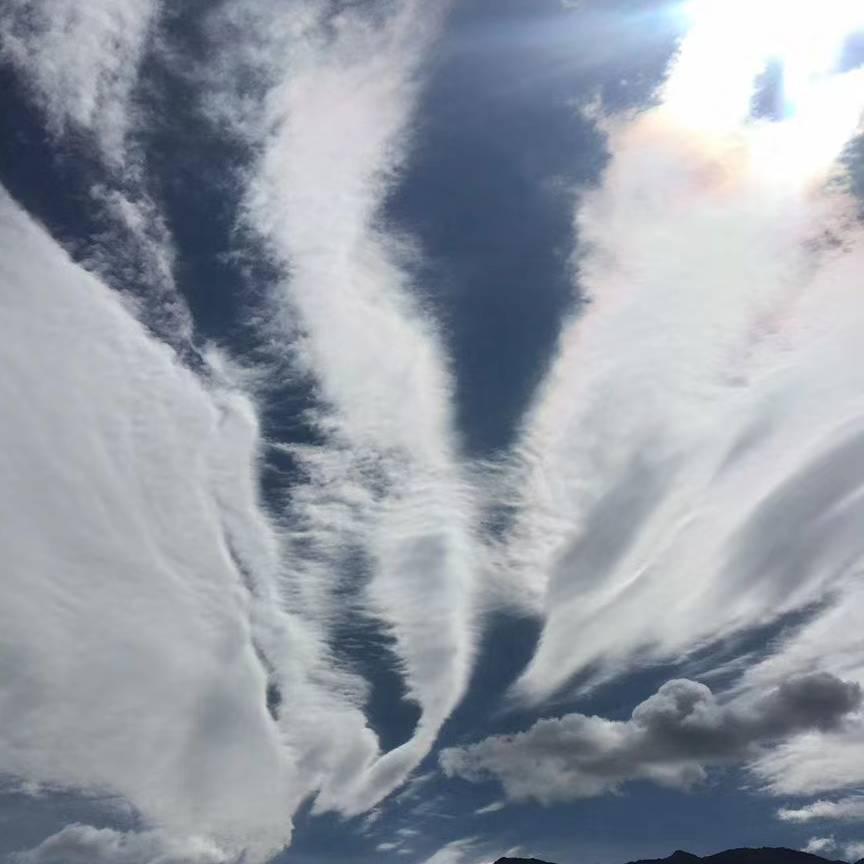 乌鸦独自飞？黑菩萨谢