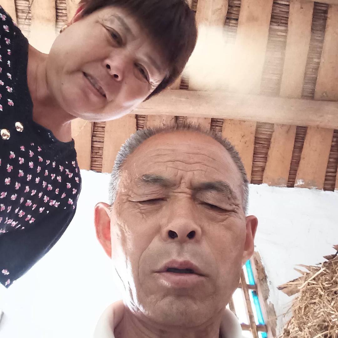 用户99550941