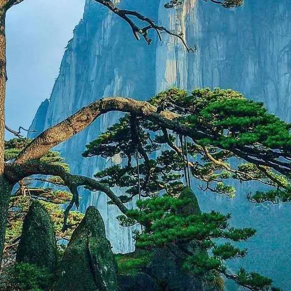 暮靄沉沉楚天闊💘