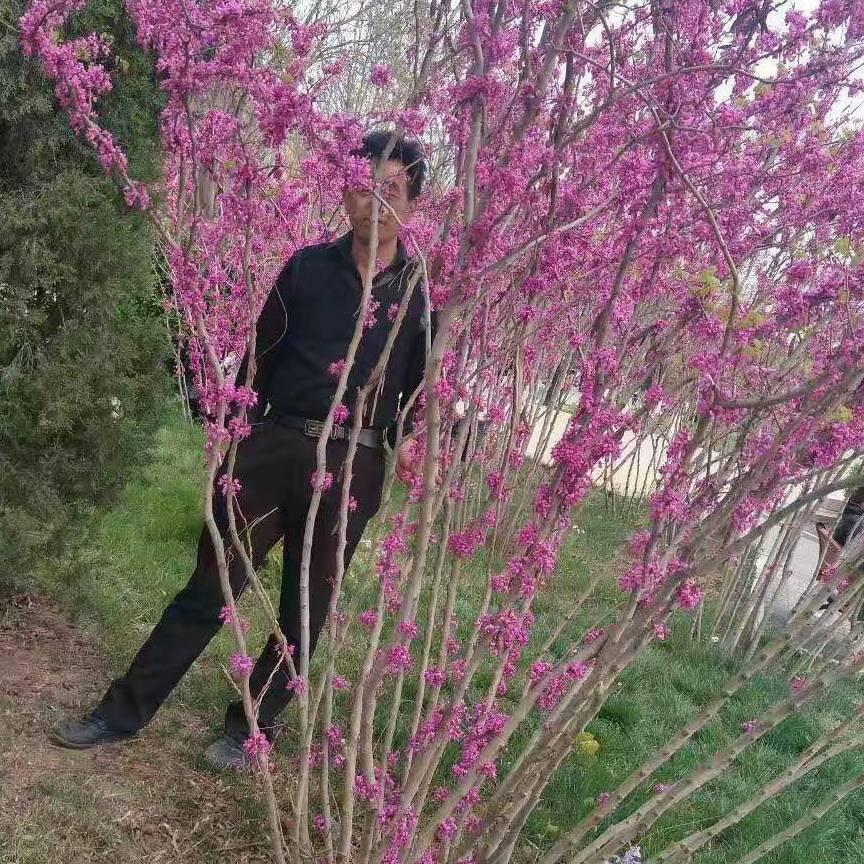 秋天的风f6g9