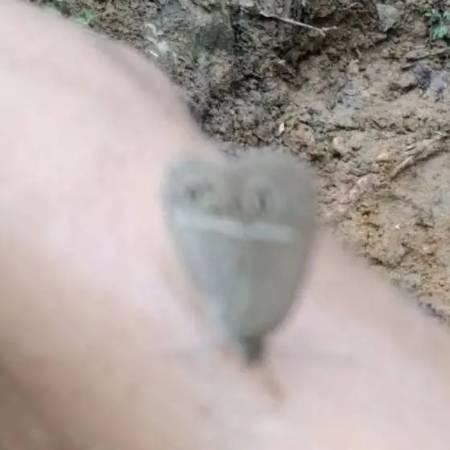 疯人的救星
