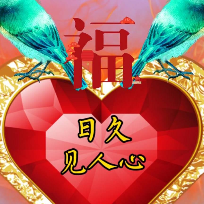 好哥
