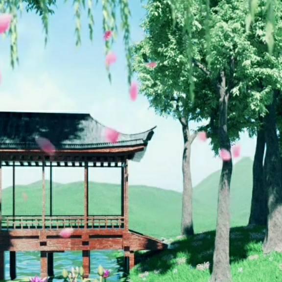 杨大妈