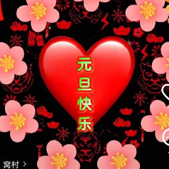 《杨阳》