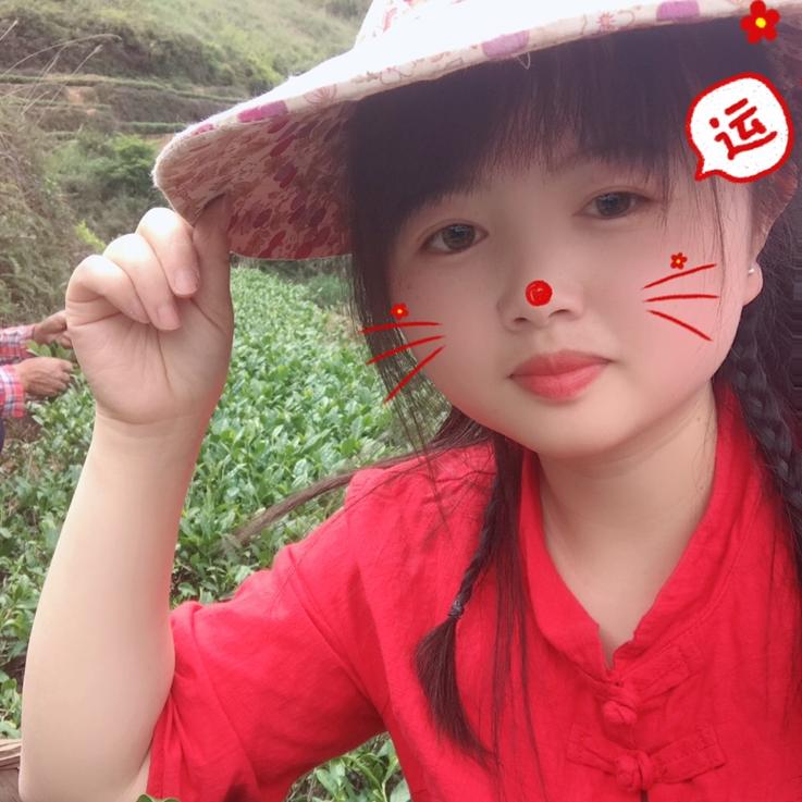 安溪县城厢慧弘茶叶店