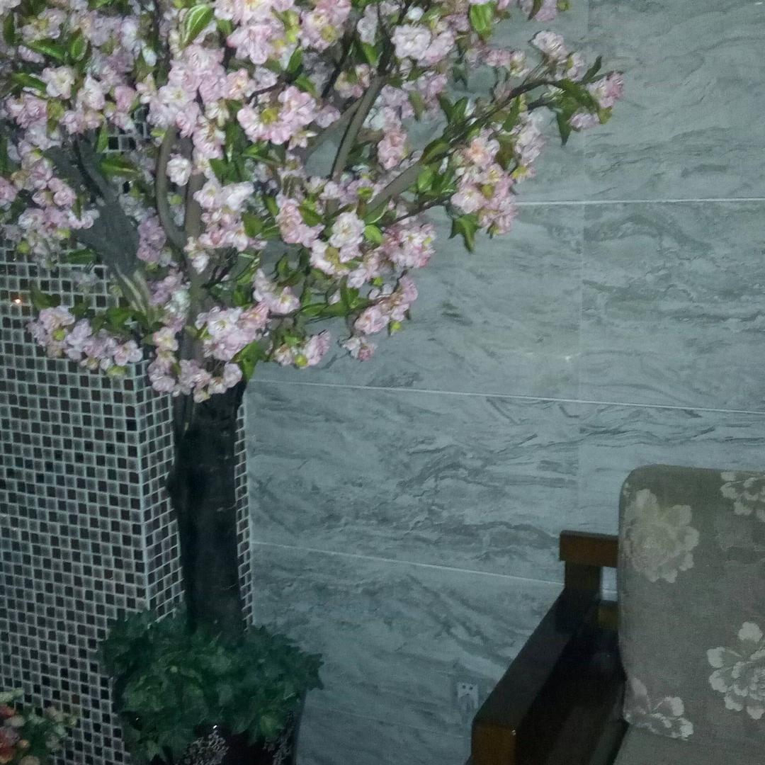 用户29428117