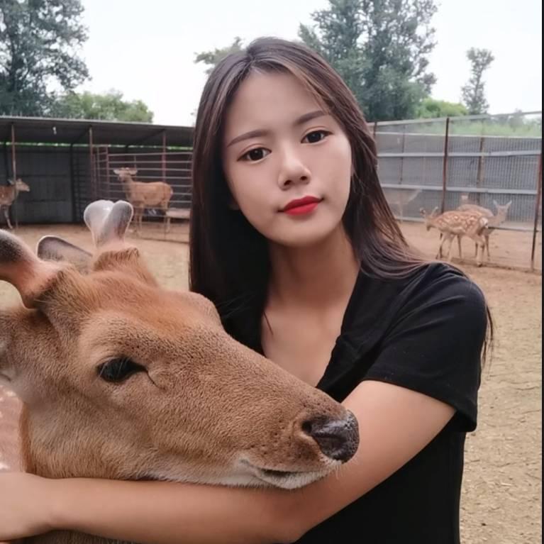 东北养鹿小妹