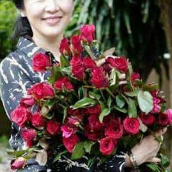 花开富贵，518。