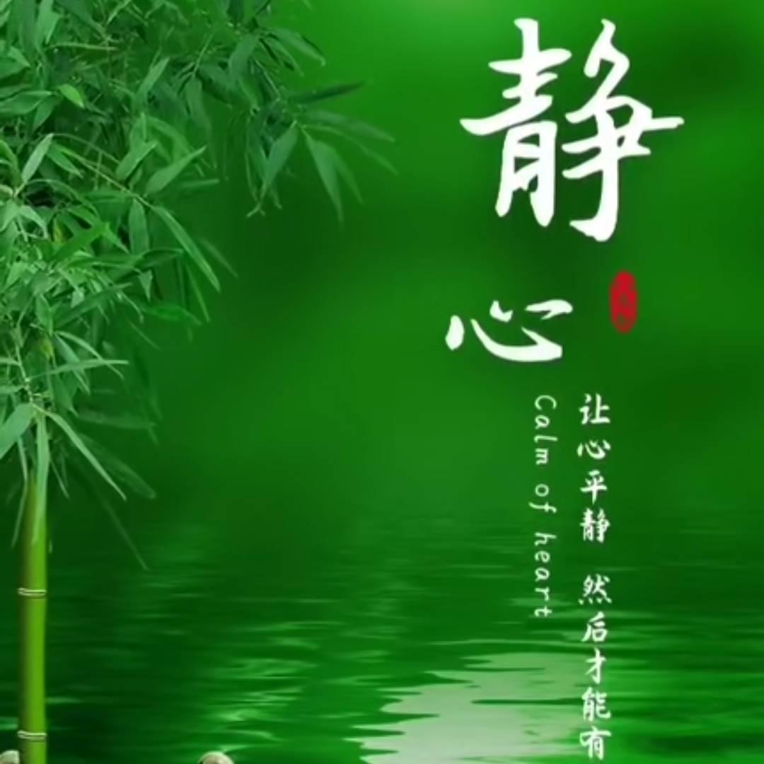 往事不要再提