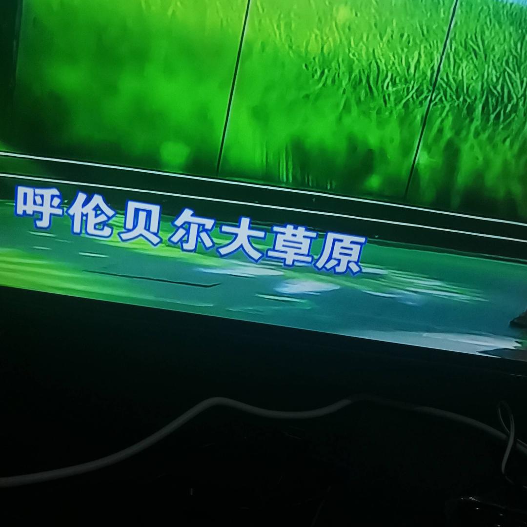 今朝醉